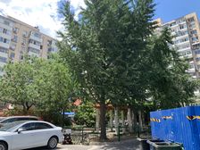 民族大学家属院3室1厅东西北