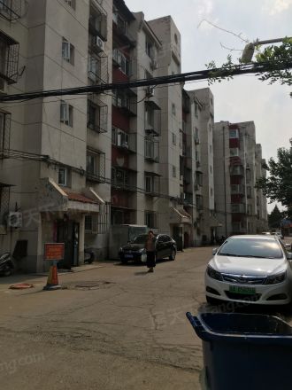 机场樱花园六区实景图