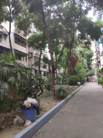 翠风苑二期公寓实景图