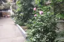翠风苑二期公寓实景图