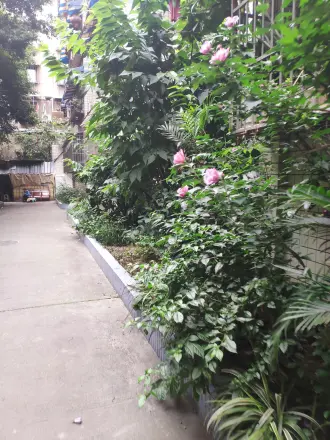 翠风苑二期公寓实景图