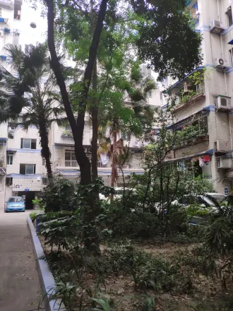 翠风苑二期公寓实景图