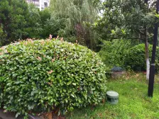 可以看全太湖湖景独门独院大宅!方正大院子!