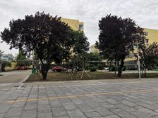 如意樱花苑 2室1厅 南 北