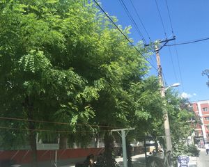 十里堡精装修,东西通透,采光好无遮挡