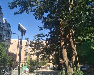十里堡南区近地铁诚意出售无遮挡南向一居