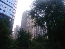南阳锦城晶品2室1厅西