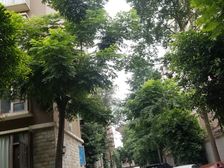 西区名宅3室2厅东南