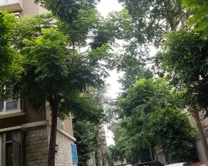 西区名宅 3室2厅 东南