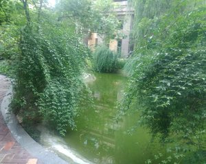 瑞升橡树林华府2室2厅西南西南