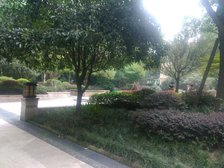 南阳锦城晶品1室1厅东