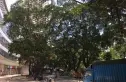 万艺广场实景图