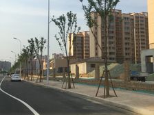 明德华府 全明大三居 毛坯房