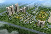 碧桂园·活力城