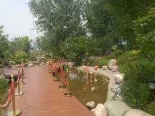 碧桂园中央公园北苑 3室2厅 南 北