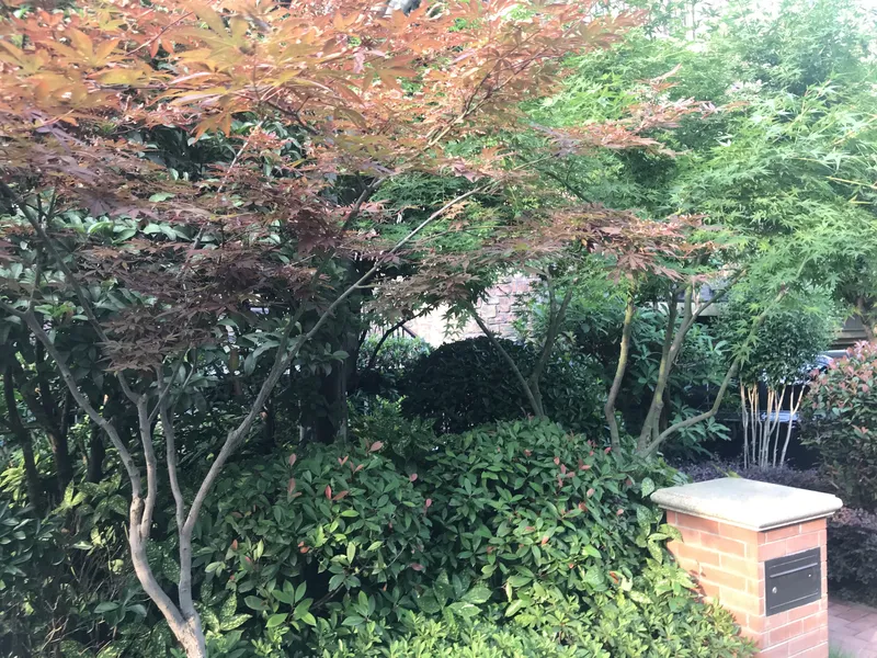 龙湖龙誉城别墅实景图