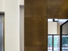 一楼带四十平方院子,洋房三室两厅两卫。