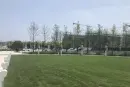 信达·公园郡周边配套图