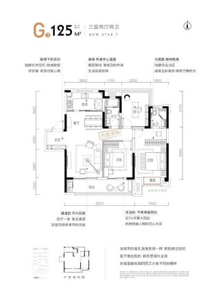 金鹏·壹品天成户型图