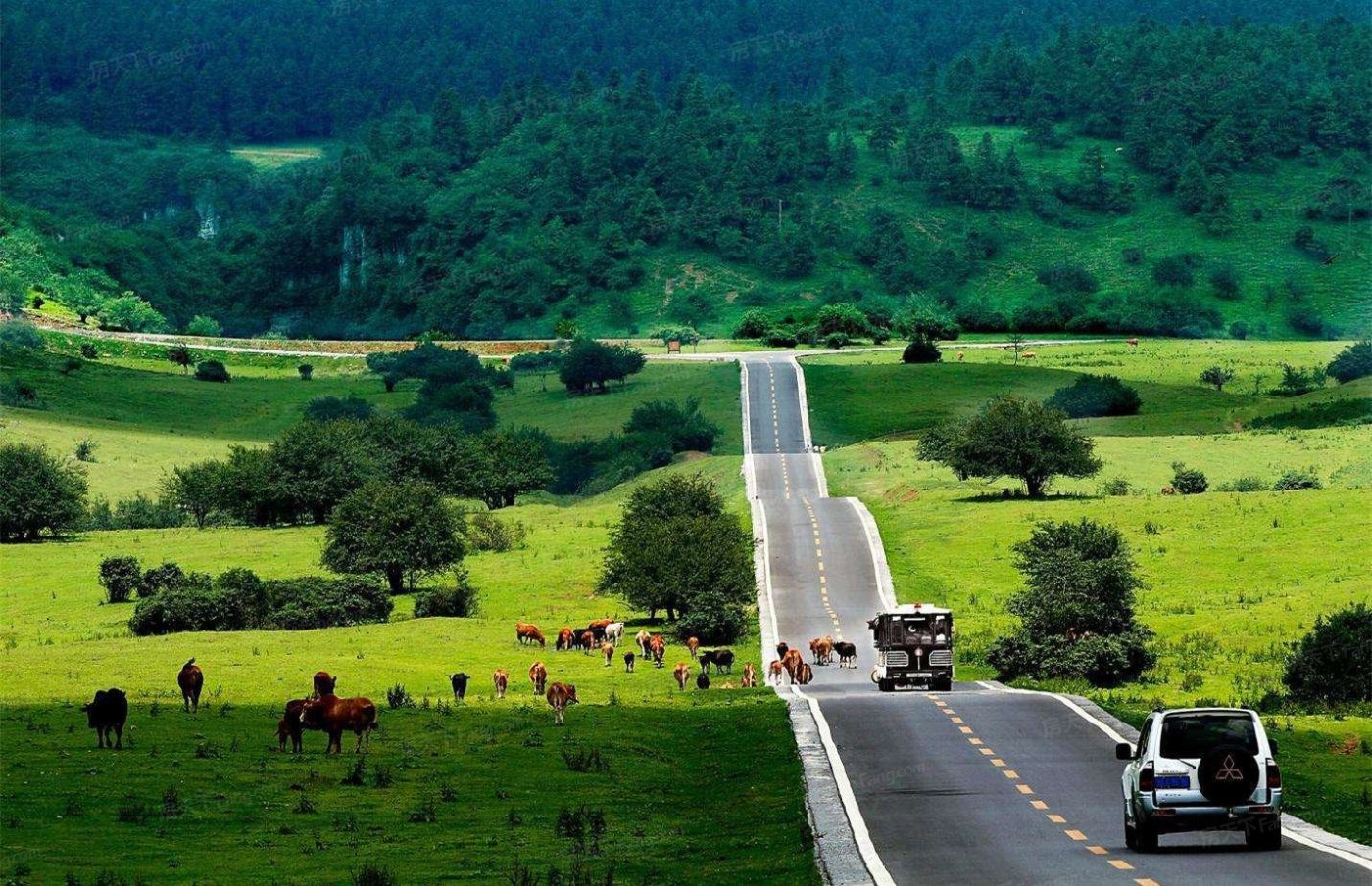 金杯半山云上溪谷