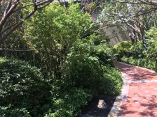 嘉定新城·西郊金茂府·3室·2厅