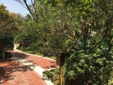 西郊金茂府3室南朝向690.00万元/套出售