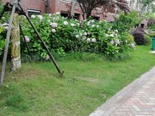 首开紫郡 小区中间位置 大露台 看房方便有钥匙