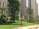 小区园林实景图