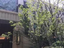 西郊金茂府3室南朝向694.00万元/套出售