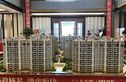 武义中梁华董壹号院实景图