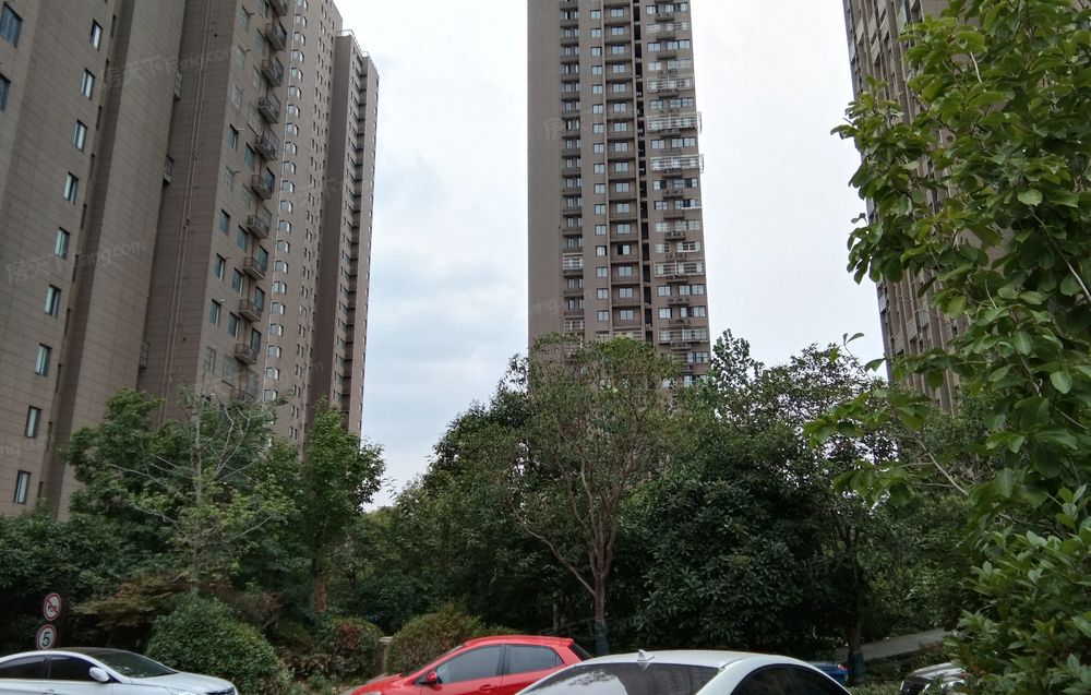 整租尚景园南区2室1厅