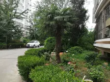 金冠花园 5室3厅 南