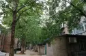 南辛庄西路253号院实景图