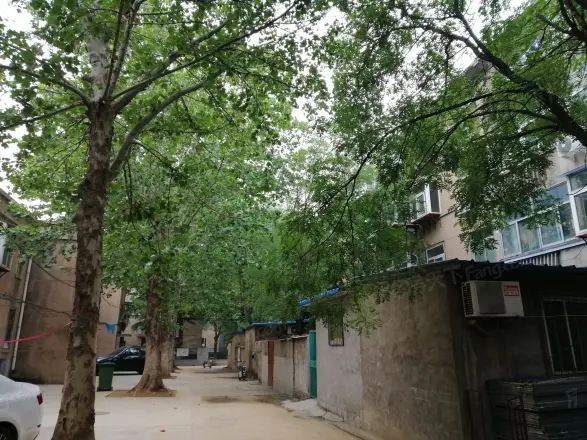 南辛庄西路253号院实景图