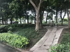 步行街 秋实春华二房