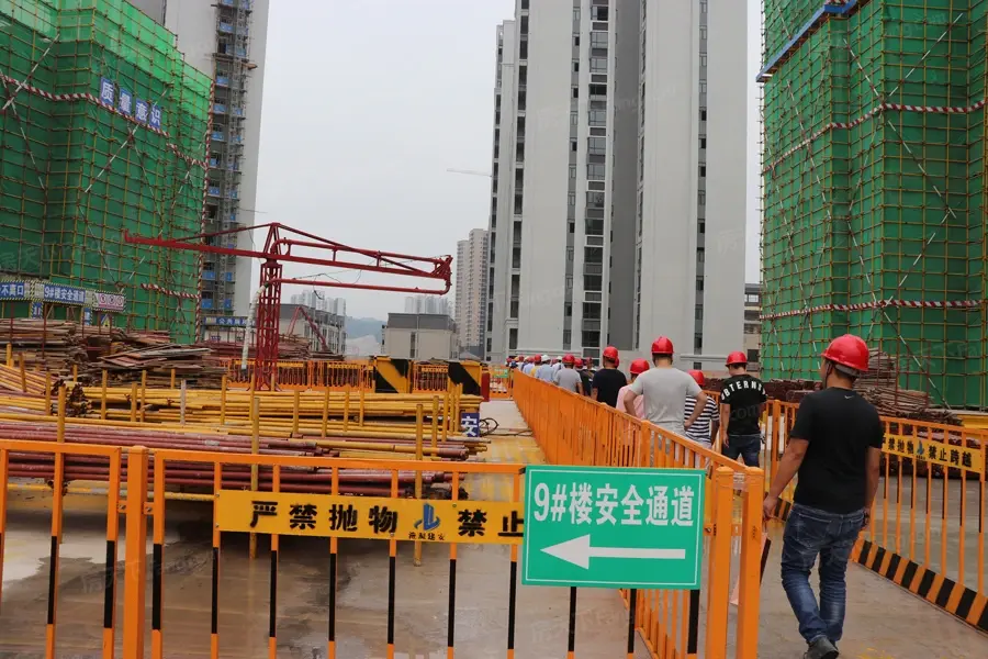 桑植·东城华府活动现场
