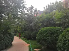 鑫苑景园 一楼带院 近地铁 近医院 购物方便 大两居河医片