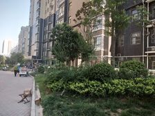 惠泽园3室2厅南北