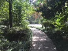 南坪商圈大户型,大户型,交通便利。