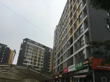 户型方正 楼层好 采光好 双气 电梯房 可贷款