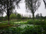 周边渭河运动公园