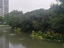 全南户型,大开间,品质小区,不靠近马路