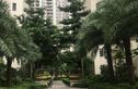 祈福辉煌台实景图
