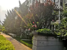 鑫苑都市领地 中间楼层 看房方便 多层小区 环境安静