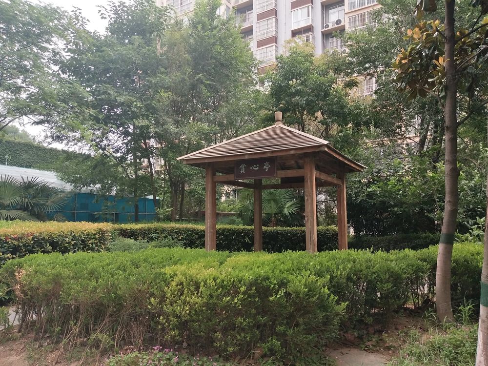 小区相关图