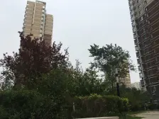 新上路劲御景城一室房源八里桥地铁口可随时看