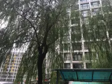 黄岗 彩世界 精装修 两居室 电梯房