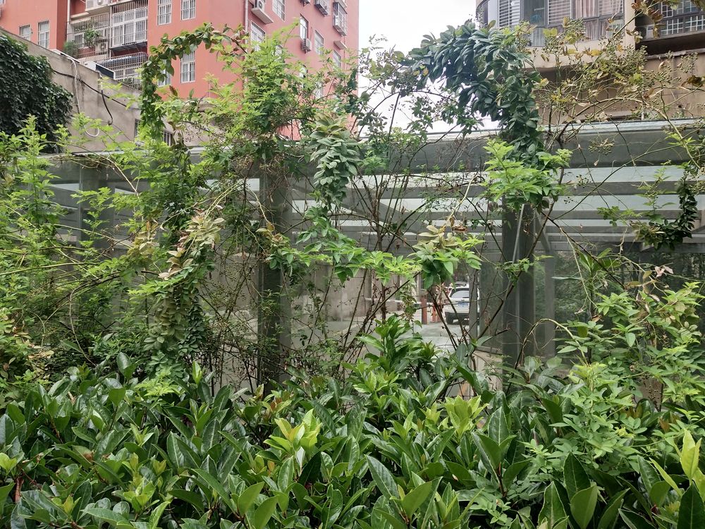 小区相关图
