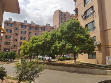 锦泉源D区,大连北站旁,地铁1号线2号线 南向大客厅