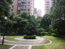 江南区公园电梯楼中楼.洋房.洋房.175平.红本在手